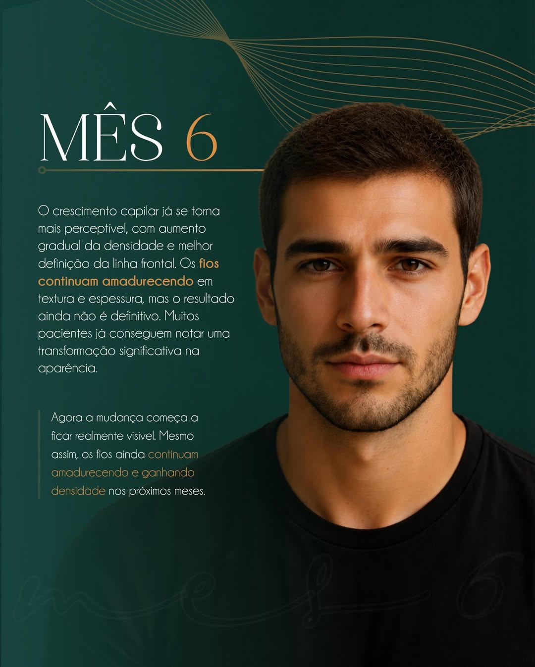 Mês 6 — Crescimento consistente