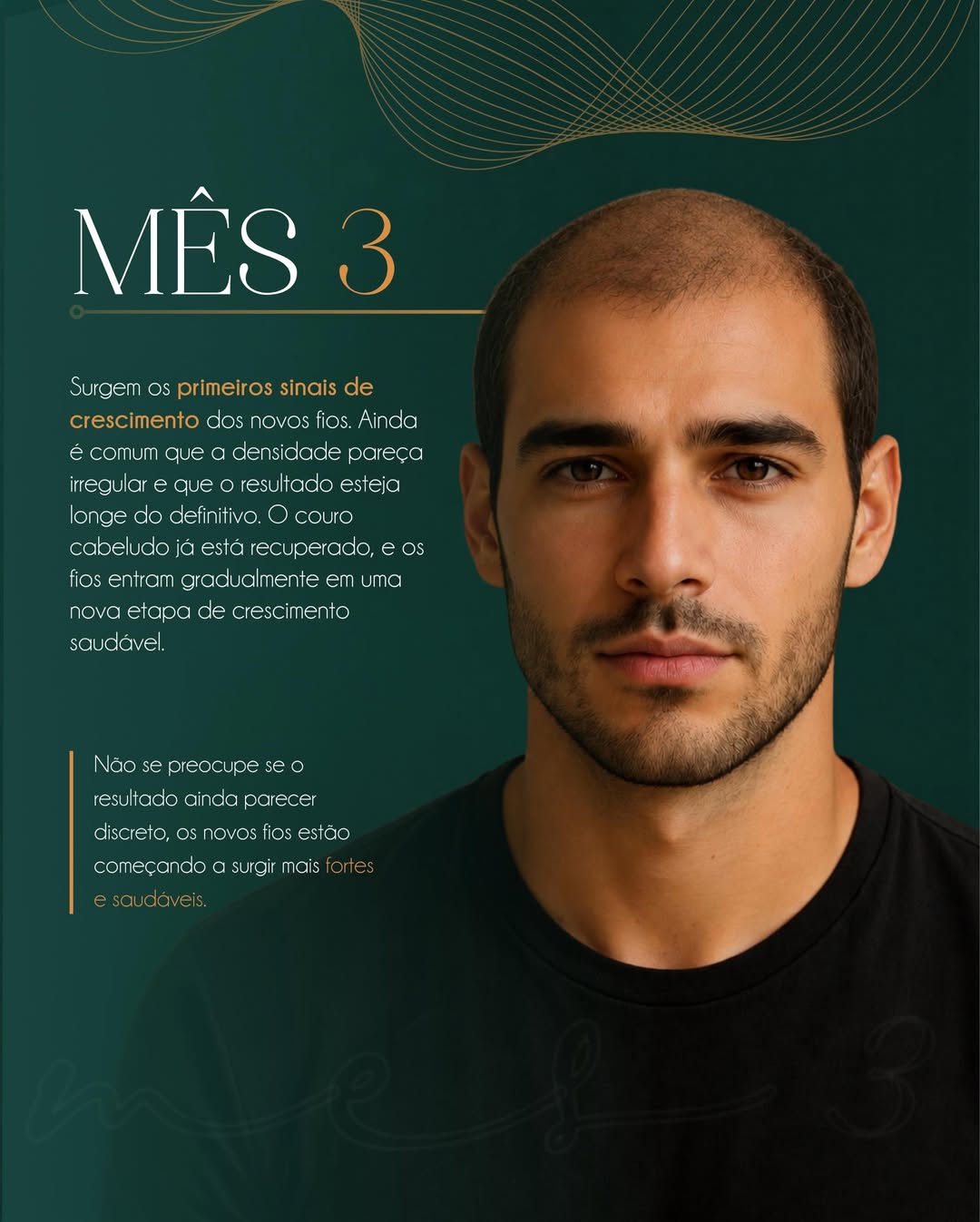 Mês 3 — Primeiros sinais