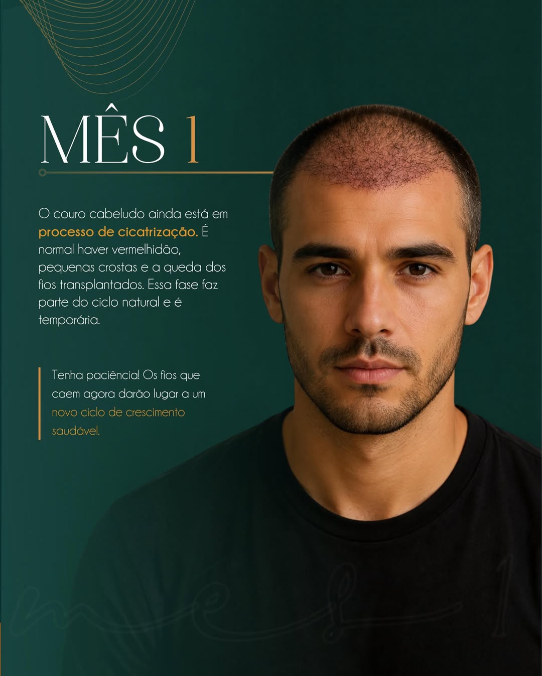 Mês 1 — Cicatrização